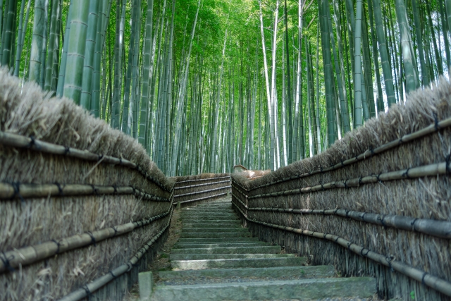 化野念仏寺の概要